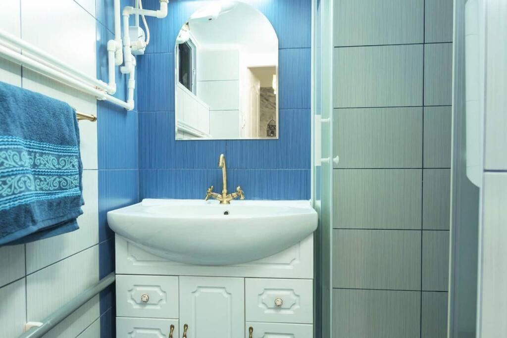 Cozybucharest Studio 외부 사진